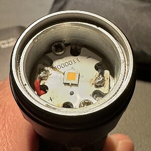 IMG_4287.jpeg