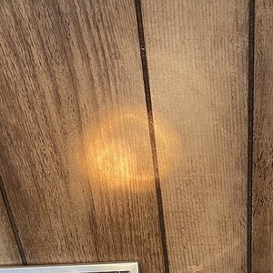 IMG_2556.jpeg