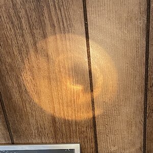 IMG_2555.jpeg