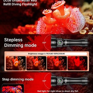Wd7.jpg