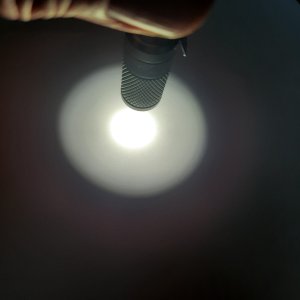 20250424_190212.jpg