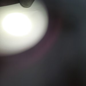 20250424_190227.jpg