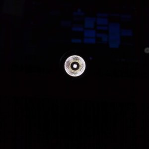 IMG_20250429_161117947.jpg