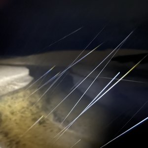 IMG_9758.jpeg