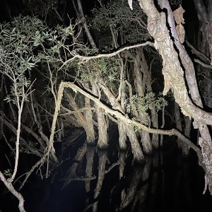 IMG_9777.jpeg
