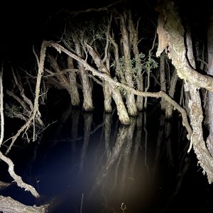 IMG_9778.jpeg