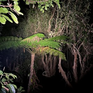 IMG_9779.jpeg