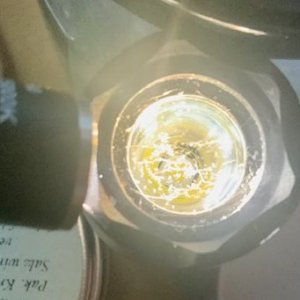 IMG_2482.jpeg