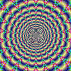 IMG_1082.jpeg