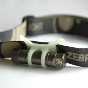 zebralight.jpg