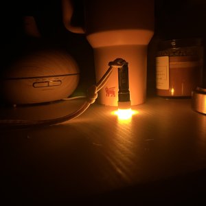 IMG_4124.jpeg