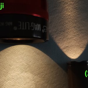 1000011257.jpg