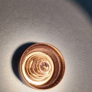 1000011298.jpg
