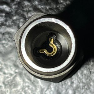 IMG_4290.jpeg