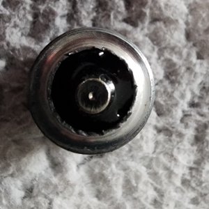 743.jpg