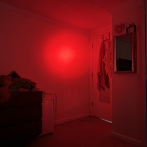 IMG_1721.jpeg