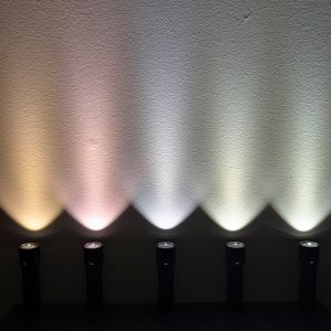 PXL_20260629_023849390.jpg